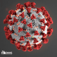 what_is_coronavirus_683667_7-png-21