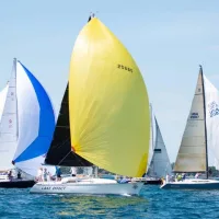 67241328_10157297909756308_673127637069070336_n-jpg-13