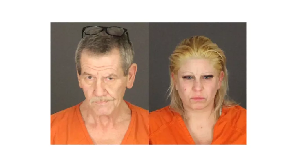 Multiple arrests made in Port Huron drug bust | WSAQ