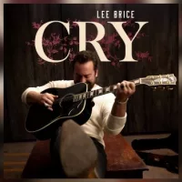m_leebricecrycurbrecords491951