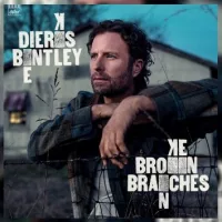 m_dierksbentleybrokenbranches897391