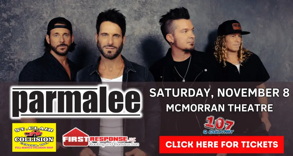 parmalee_flipper_2