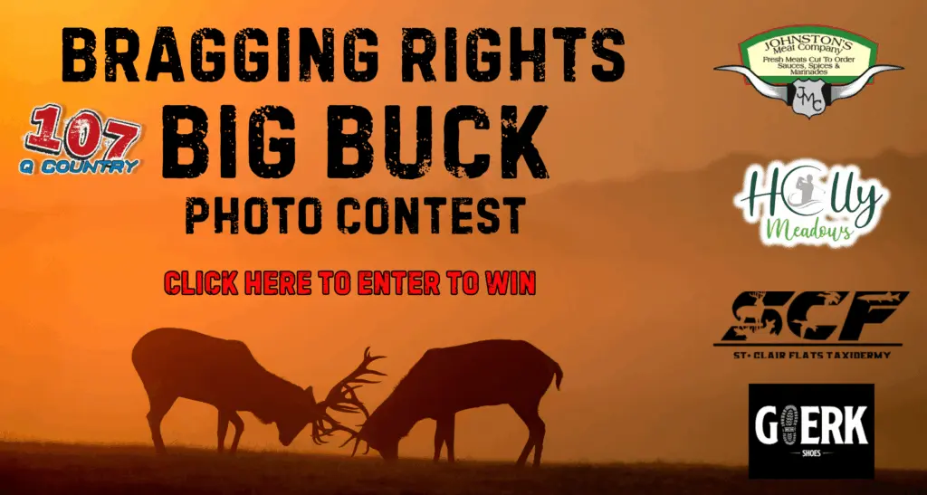 bragginrightsbuck_flipper2025