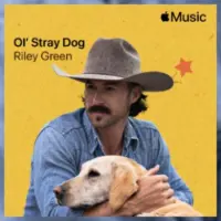 m_rileygreenolstraydog825306