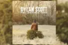 m_dylanscotttwochristmastrees649053
