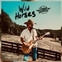 m_chrisjansonwildhorses237983