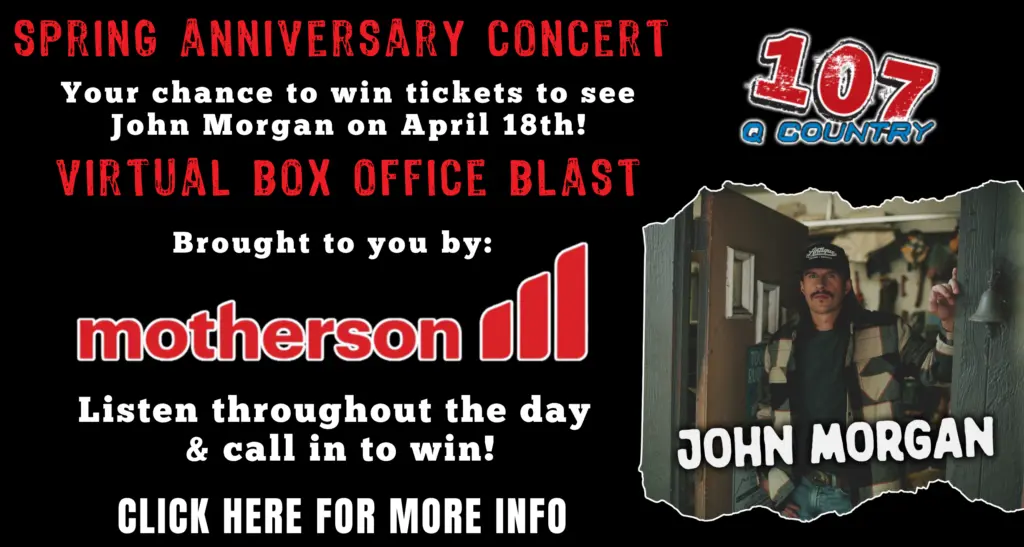 bob26_motherson_flipper