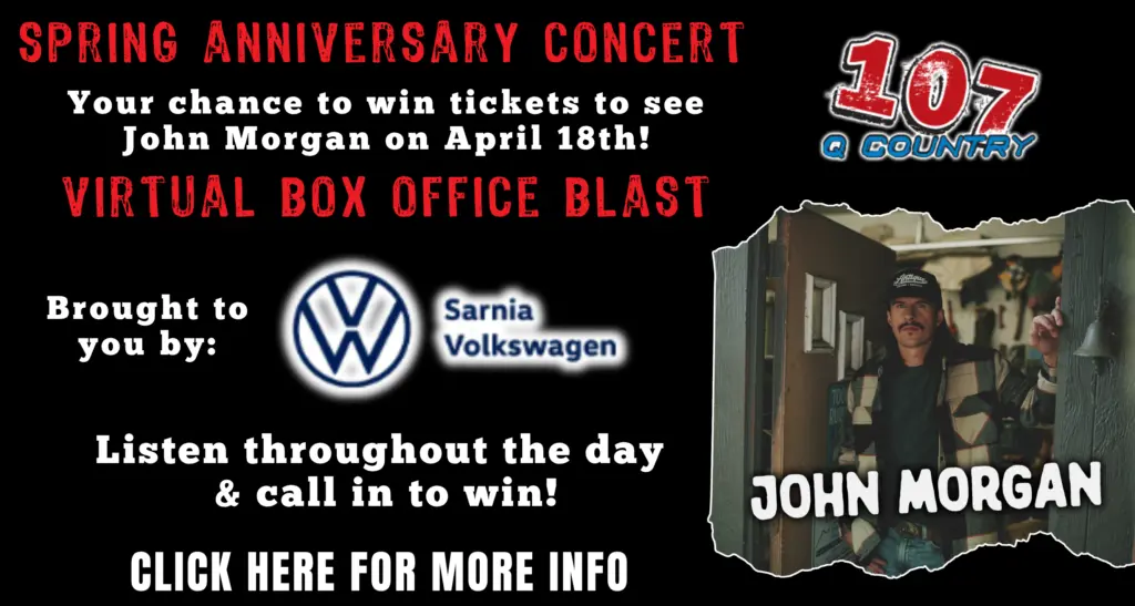 bob26_sarniavolkswagen_flipper