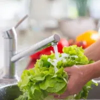 istock_61020_washingproduce-jpg
