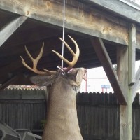 My first bug buck in 10 years!