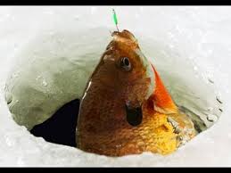 ice-fish