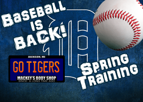 baseball-tigers-spring-training-flipper-1