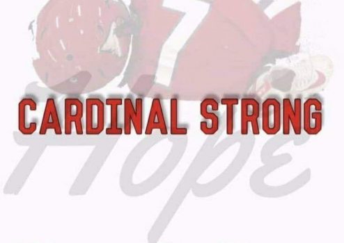 cardinal-strong