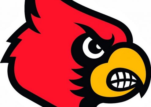 michigan-center-cardinals-logo