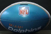 NFL Miami Dolphin football