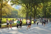 NEW YORK^ USA - NOV 6^ 2021: 2021 New York City Marathon^ 50th running of that city premier long-distance race^ was held on November 7^ 2021