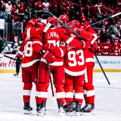 red-wings-96