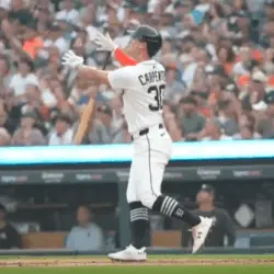 tigers-150