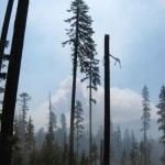 072414-logging-fire