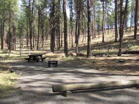 Hazardous Trees Close Princess Creek Campground 