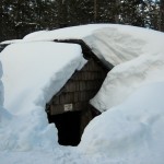 file-of-swampy-lakes-shelter