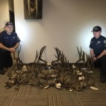 la-pine-poaching-arrest