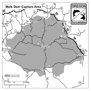 mule deer map