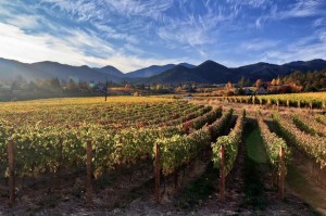 7 wonders of Oregon winery