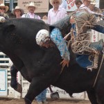 sister-rodeo-bull-rider-falling