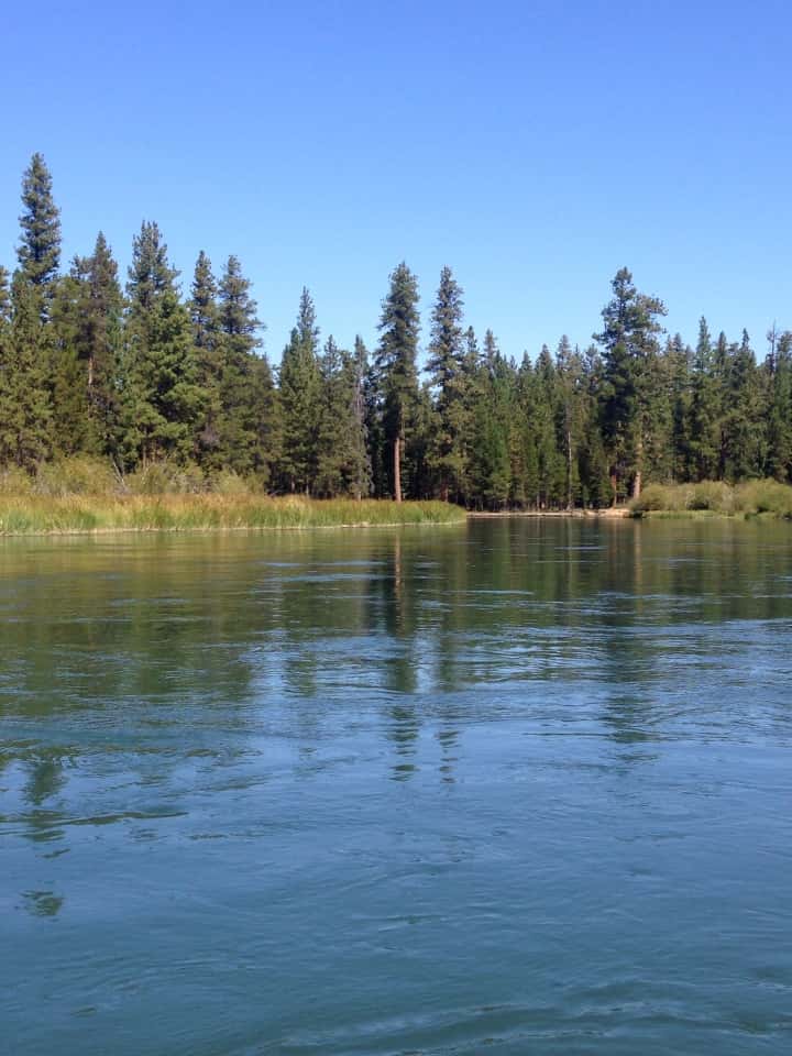Oregon Gas Prices >> Pringle Falls Experimental Forest Burn Planned ... Oregon Gas Prices >> Pringle Falls Experimental Forest Burn Planned ...
