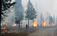 pile-burn-us-forest-service