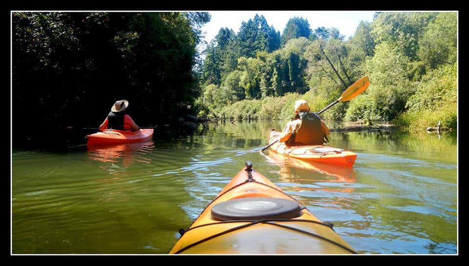 Oregon River Info More Accessible - Vimarsana News