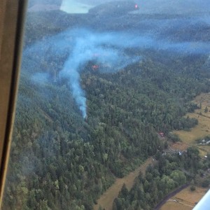 Woods Creek Fire, Dept. of Forestry