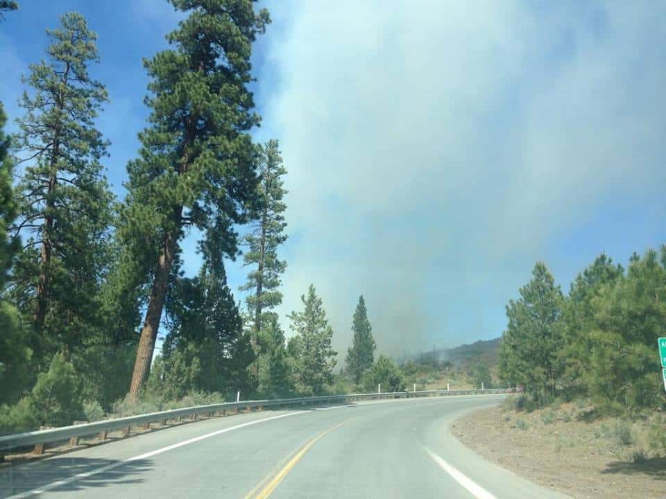 Controlled Burn Today South of Madras - Vimarsana News