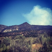 blm-us-forest-and-dof-on-sugarloaf-fire-facebook