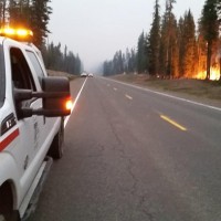 or230_fire_along_road