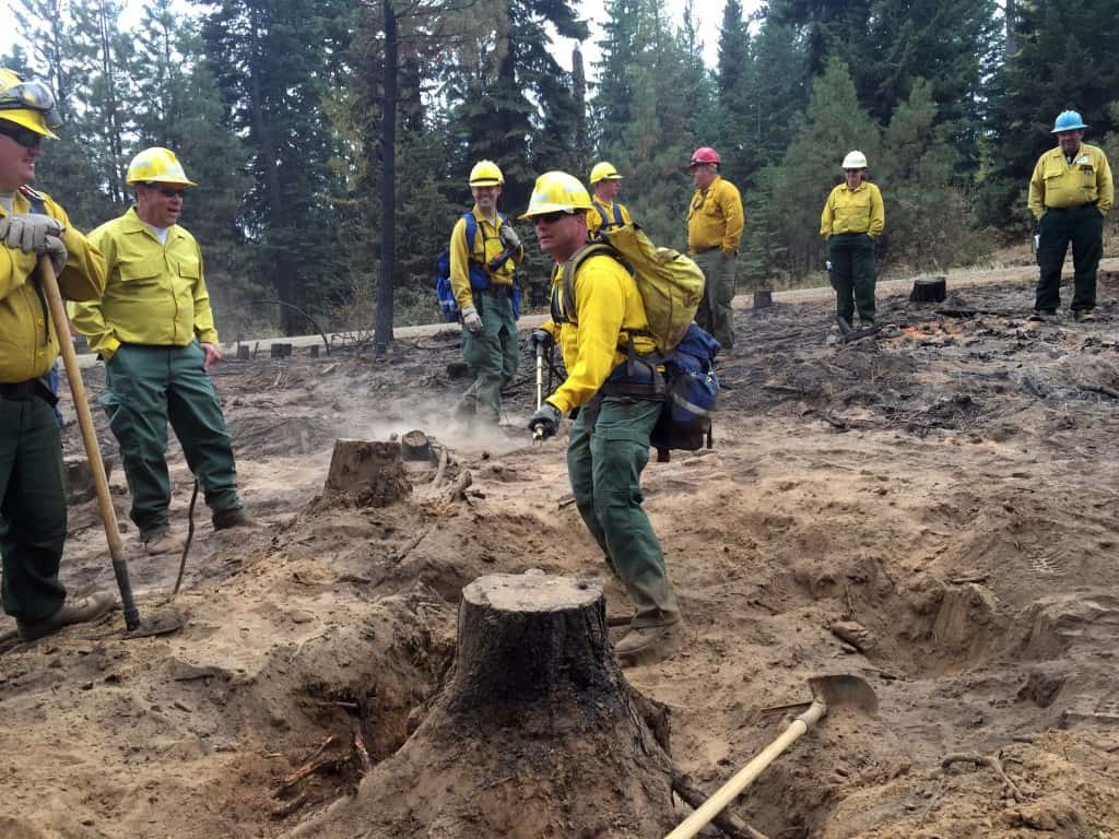 BLM: Jump Into A Fire Career - Vimarsana News
