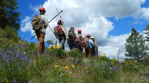 ochoco national forest facebook 1