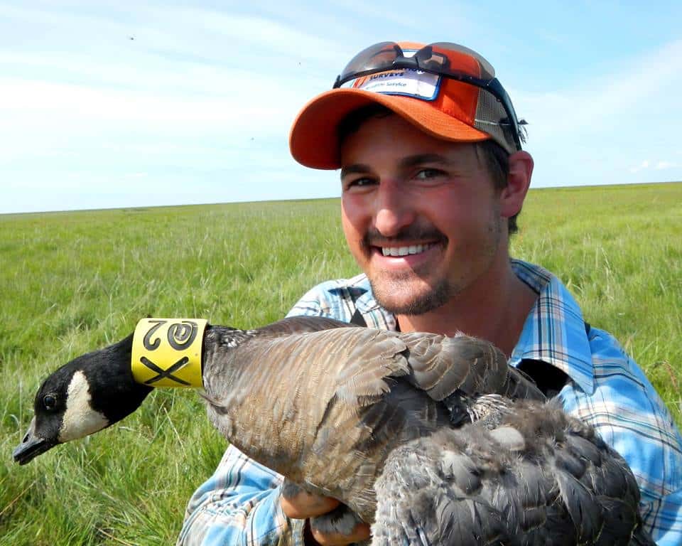 New Rules For Hunting Canada Geese In Oregon