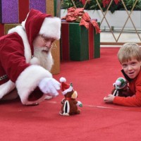 erindeely_12315_santa