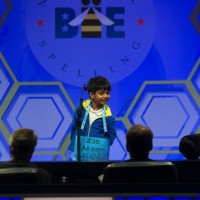 spellingbee_052616_akashspeller