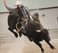 bull-riding