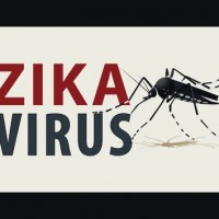 getty_080216_zikavirus