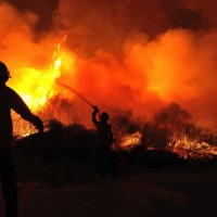 getty_081516_califwildfire