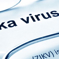 getty_082316_zikavirus