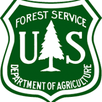 forest-service-5