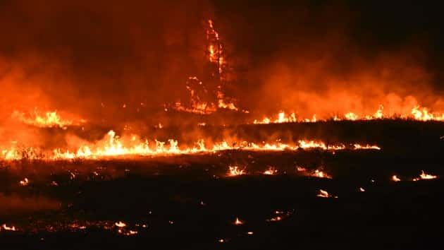 Tennessee Wildfires Burn 100 Homes, Force Thousands to Flee ...