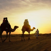 getty_120816_camels
