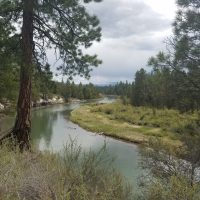 upper-deschutes-river-at-la-pine-state-park