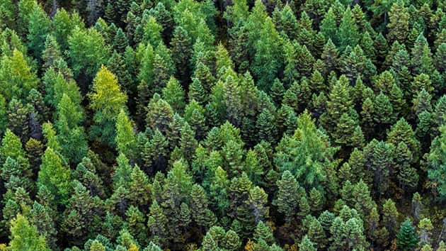 Trail Closures to Begin for Public Safety Trail closures west of Bend to allow for timber sale harvest and restoration work - Vimarsana News